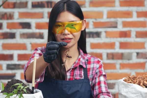 Visa việc làm có định cư tại Hoa Kỳ